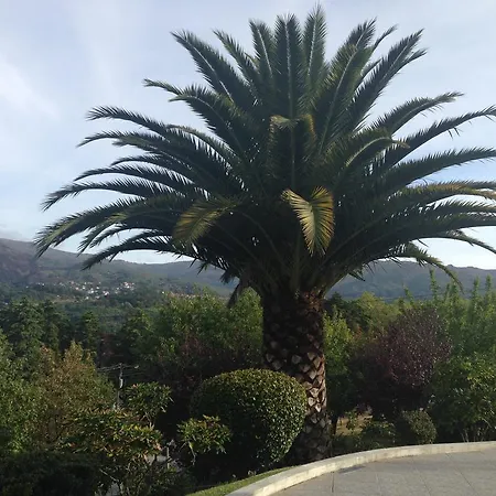 Апартаменты Casa Dos Cabecinhos *