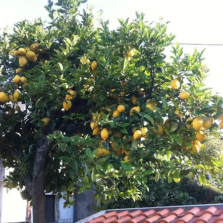 Casa Dos Cabecinhos Lejlighed Paradamonte