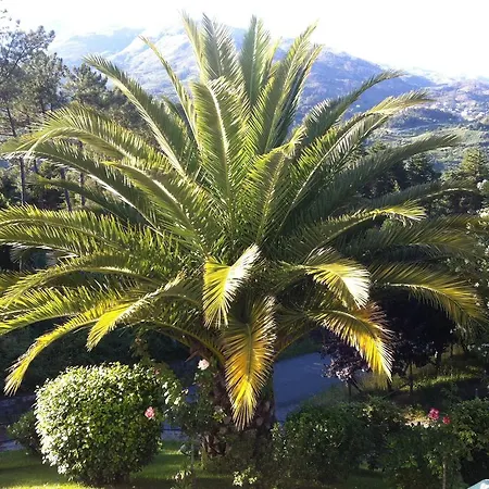 Casa Dos Cabecinhos *